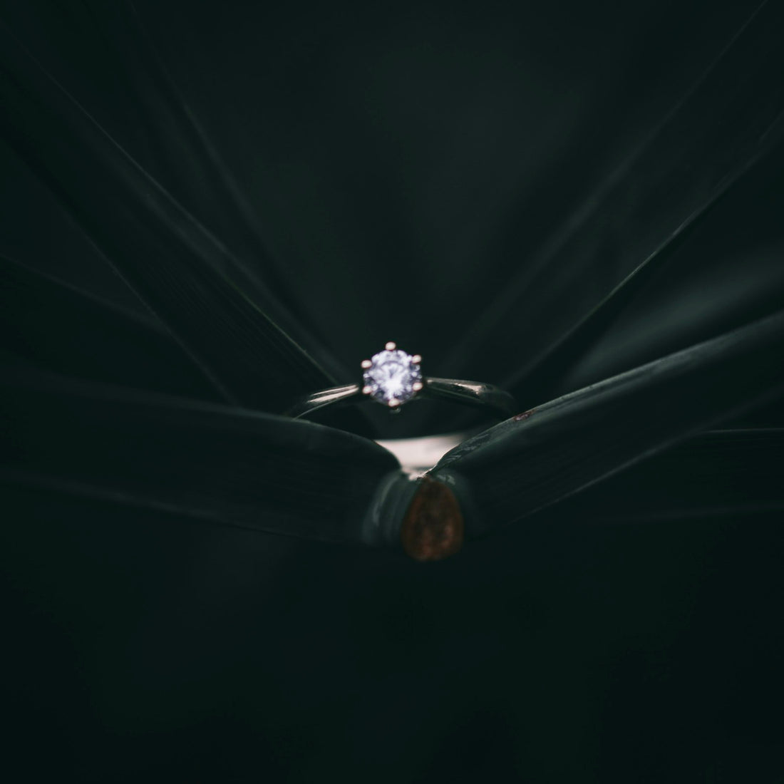 Solitaire Engagement Rings: Band Width, Claws and Stone Size