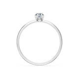 Solitaire Ring, 0.3 ct — 101-10194(0.30)PAR