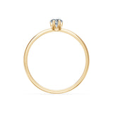 Solitaire Ring, 0.3 ct — 101-10194(0.30)PAR